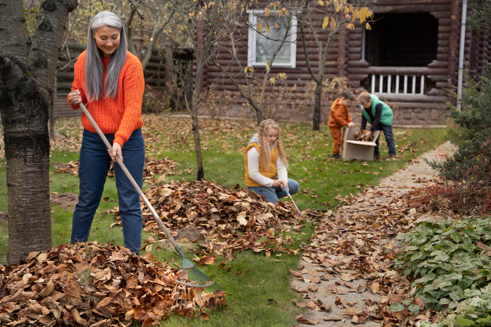 yard clean-up